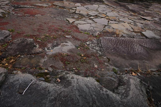 Opus 40, #35, 2010