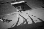 Brown Dog, Woodstock,  2002